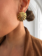 Shell earrings